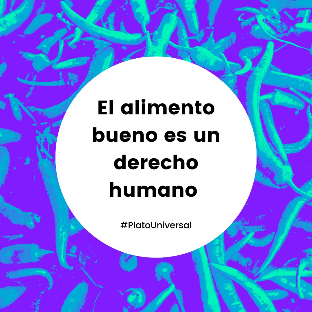 thesgmovement's tweet photo. Food is a human right, not a privilege! 

In a world of plenty, no one should go to bed hungry. 

Join the #UniversalPlate, and let's raise our voices to the Right to Food for all!

#ZeroHunger #RightoFood https://t.co/VKicvMTKri