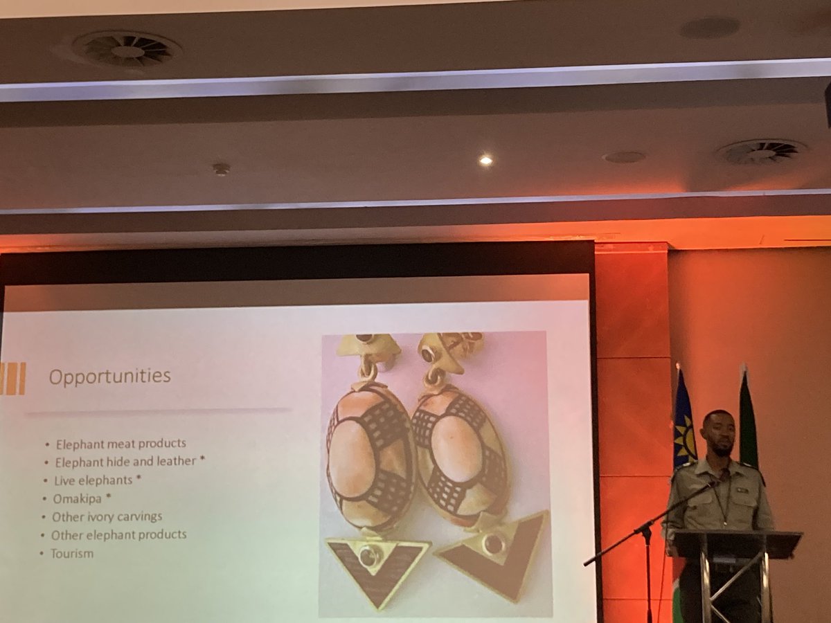 Namibia is a success story for elephant conservation, but human wildlife conflict is a big challenge. Kenneth Uiseb from MEFT, Namibia, exploring opportunities for wildlife economies that support elephants and people @WildlifeEconomy