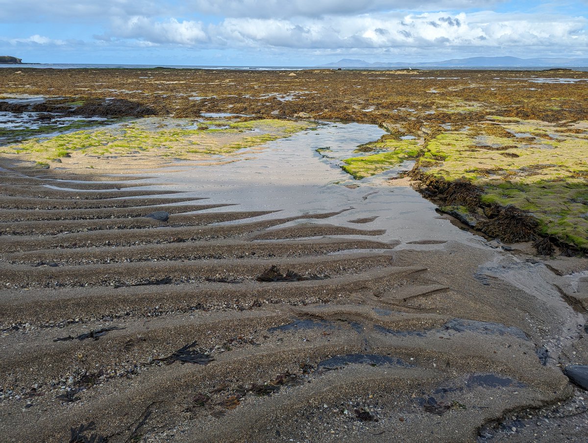 'You can see the sea! It's over there, between the land and the sky!' 🔭👀

#TidesOutTuesday #Bundoran #Donegal