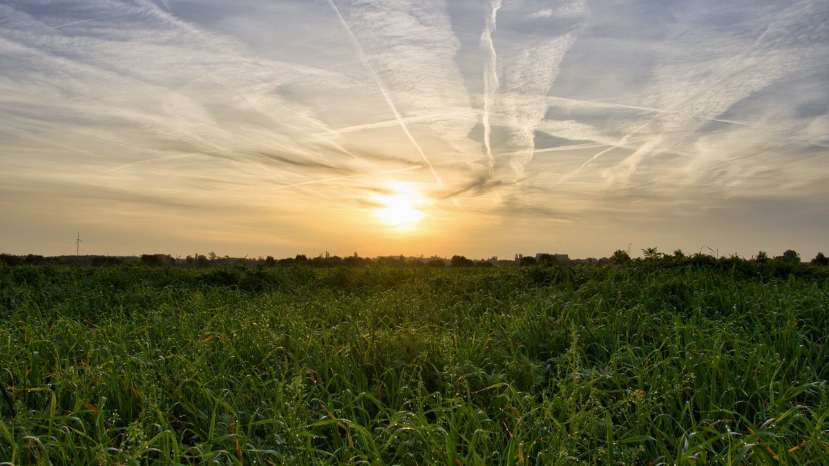 RyckmansNoel's tweet photo. #vrtweer #henis 8u31 https://t.co/6p58C0Am0D