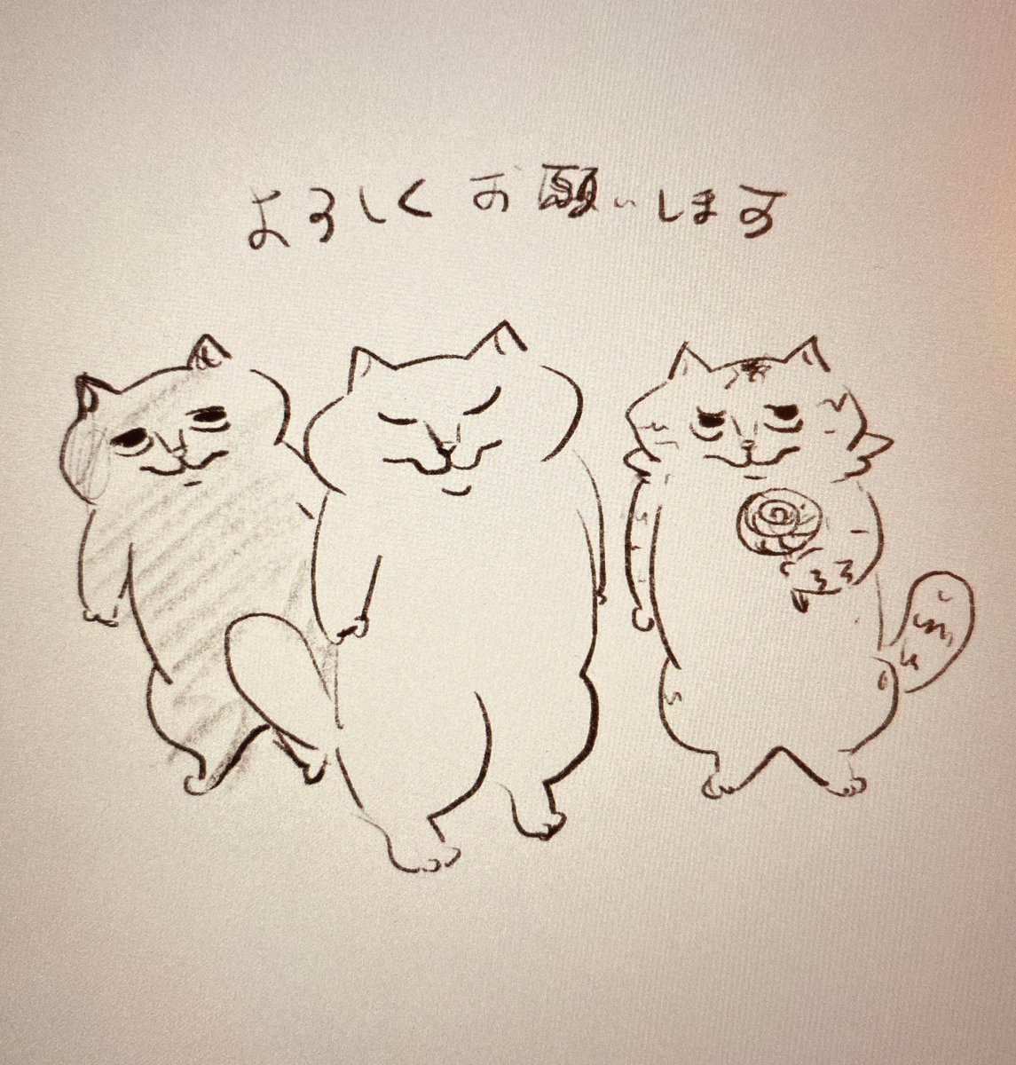 10/11のお昼頃に、
ちょっと目新しいものを投稿しようと思っています😽 