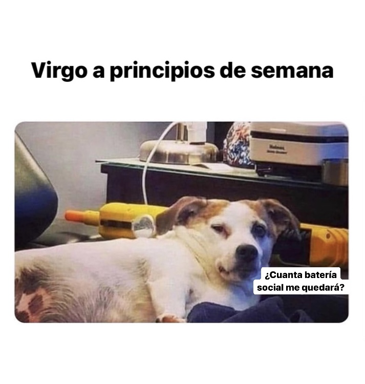 🤣🤣🤣 #virgo #horoscoponegro
