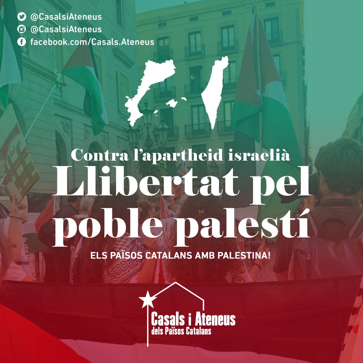 CasalsiAteneus's tweet photo. 🟥🟨Llibertat pel poble palestí! 🇵🇸

Els casals i ateneus dels #PaïsosCatalans denunciem l'ocupació i l'apartheid israelià contra Palestina.  Contra l'imperialisme, solidaritat internacionalista! 

Els Països Catalans amb Palestina! ✊🌱

#FreePalestine https://t.co/JBTWPDsUGe