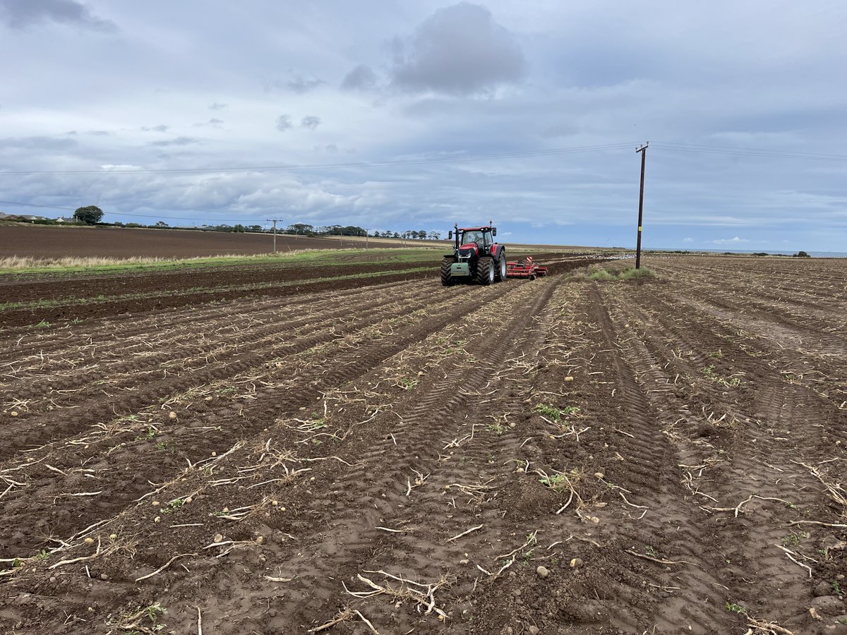 CaseIH_UK_IRE's tweet image. Come take a look at some photos of the Optum 340 on a demo with J Low Agri in East Fife. If you're interested in a demo please get in touch with your local dealer or request a demo here:  bit.ly/CaseIHDemo

#CaseIH #Demotour #Dealer #TrustTheRed