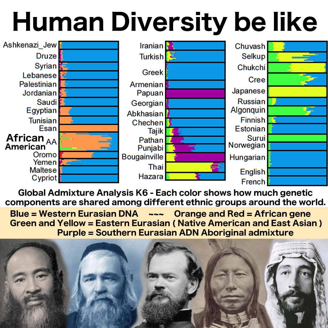 Human Diversity be like
Arab, Persian, Egyptian, ethnic Jews and Greeks are Dominant Western Eurasians and modern descendants of Ancient Cradles of Civilizations.
- Indigenous Native American, European and East Asians are descendants of Ancient Northern Eurasians #nativepower