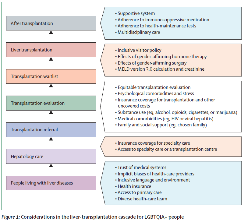 LancetGastroHep's tweet photo. New Personal View - Lee, Duong et al - Liver transplantation for people of minoritised sexual and gender identities in the USA 

https://t.co/KKSuZE9xcg

#LiverTwitter #TransplantTwitter @HowardTLeeMD @doctornikkid @4_kidney @DougSimonetto @spaulliver @RainbowinGastro https://t.co/97rp72AsHq