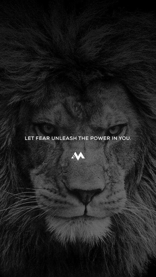 TurnOnQuotes's tweet photo. #lifequotes #Motivation #success https://t.co/XfjlnSh2Yr