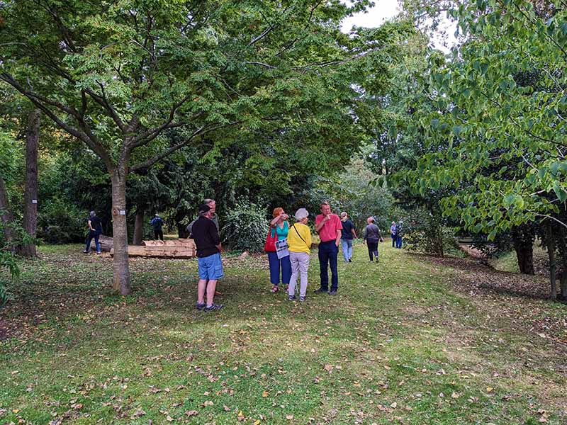 Today is #worldmentalhealthday take some time for yourself and appreciate the soothing power of nature💚 We had over 200 visitors to Hammond Arboretum on Sunday appreciating all that nature offers.
👉ngs.org.uk/a-woodland-wal…… 
#GardensandHealth #MentalHealthAwareness #getoutside