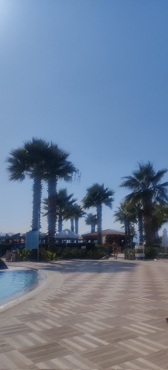 MattEast tweet media