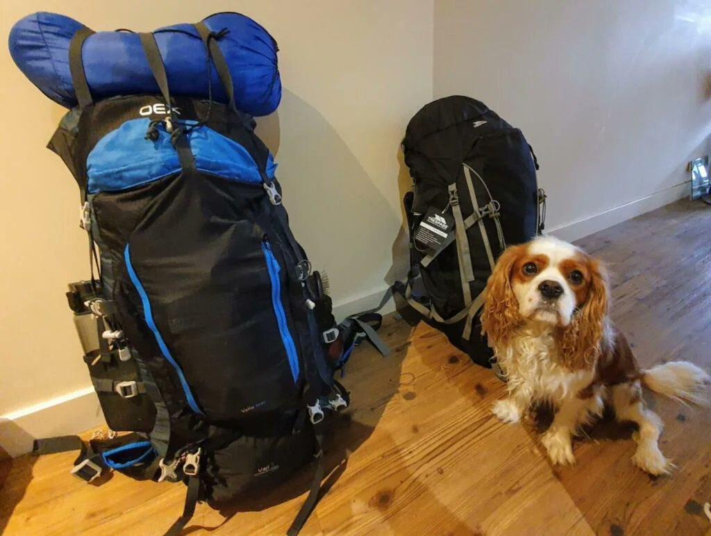 RJonTourUK's tweet photo. Blog cleaning, tidying, and updating this week. It's nice travelling down memory lane going through my old posts...
https://t.co/9PKx3HZYJX
#travelblog #dogblogger #travelblogger https://t.co/FlButK79ua