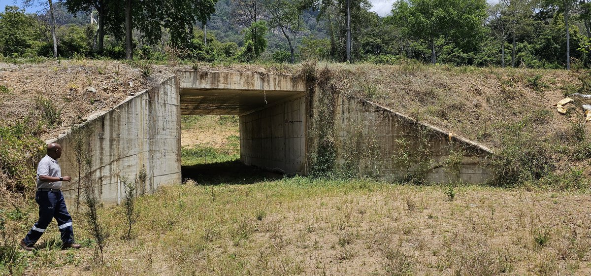 atcochrane's tweet photo. @KilomberoL A great trip to @KilomberoL and @KilomberoCCT. Grower and #AMCOS engagements, field visits and seeing elephant 🐘 migration corridor under construction. https://t.co/3MtVdGeDM4