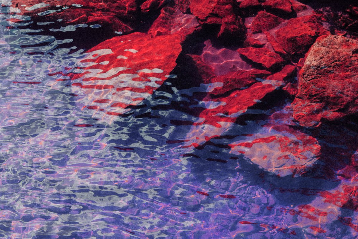 169lollo's tweet image. It was a weird dream #infrared