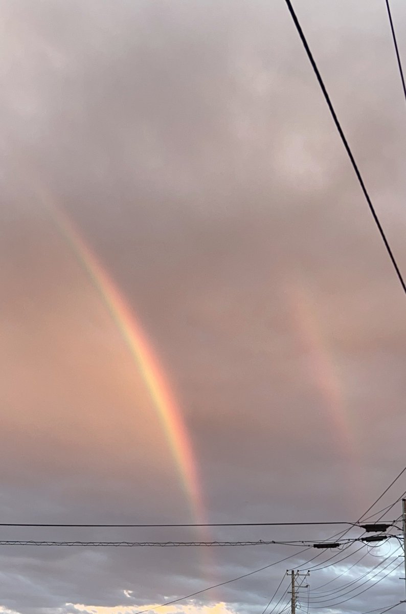 🍉あやめ🍉 tweet media