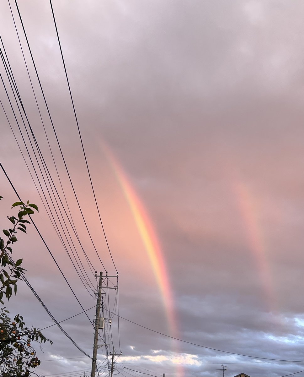 🍉あやめ🍉 tweet media