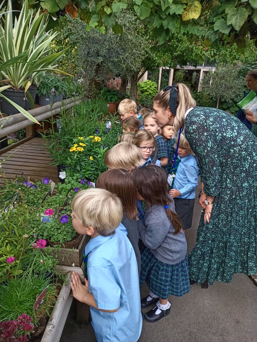 RPPS_Reception's tweet image. What a wonderful park walk, exploring our senses!