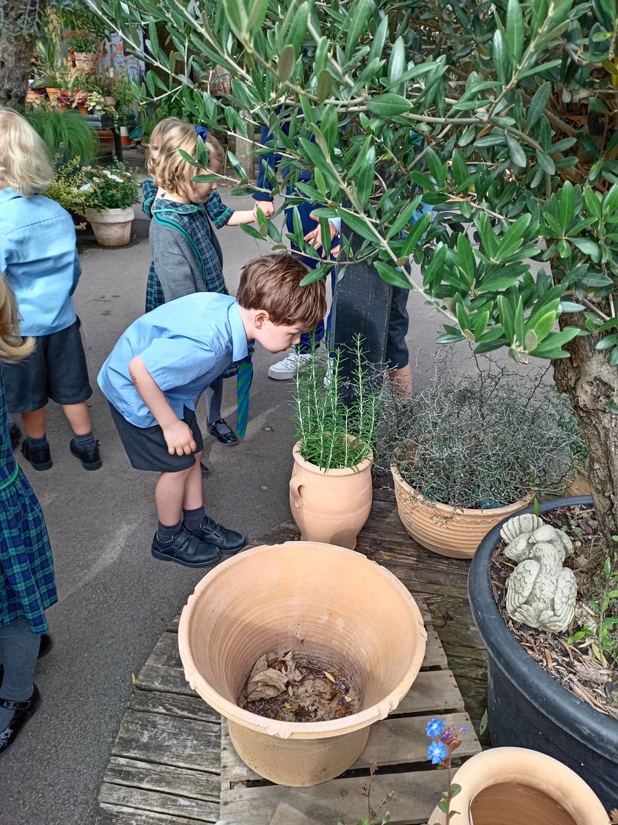 RPPS_Reception's tweet image. What a wonderful park walk, exploring our senses!