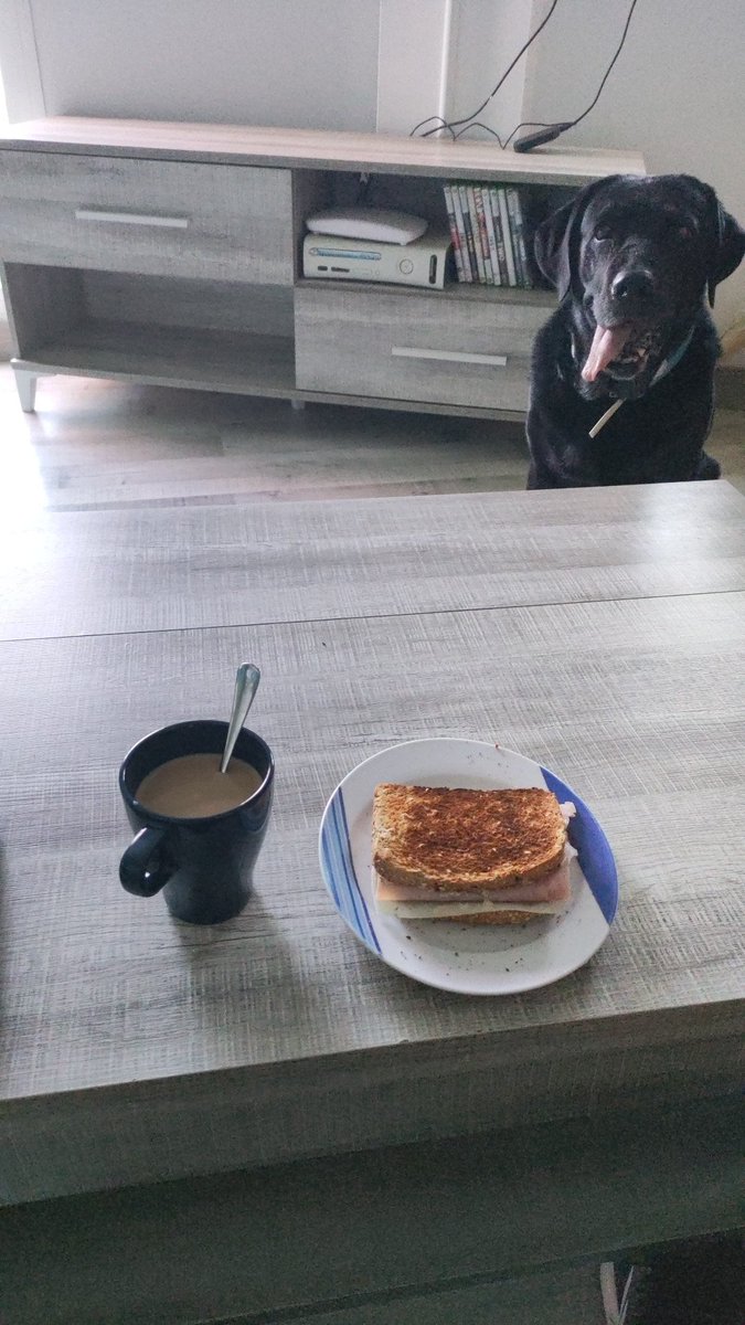Borjanigah's tweet photo. Gud moring https://t.co/Ge7ZxqXlHn