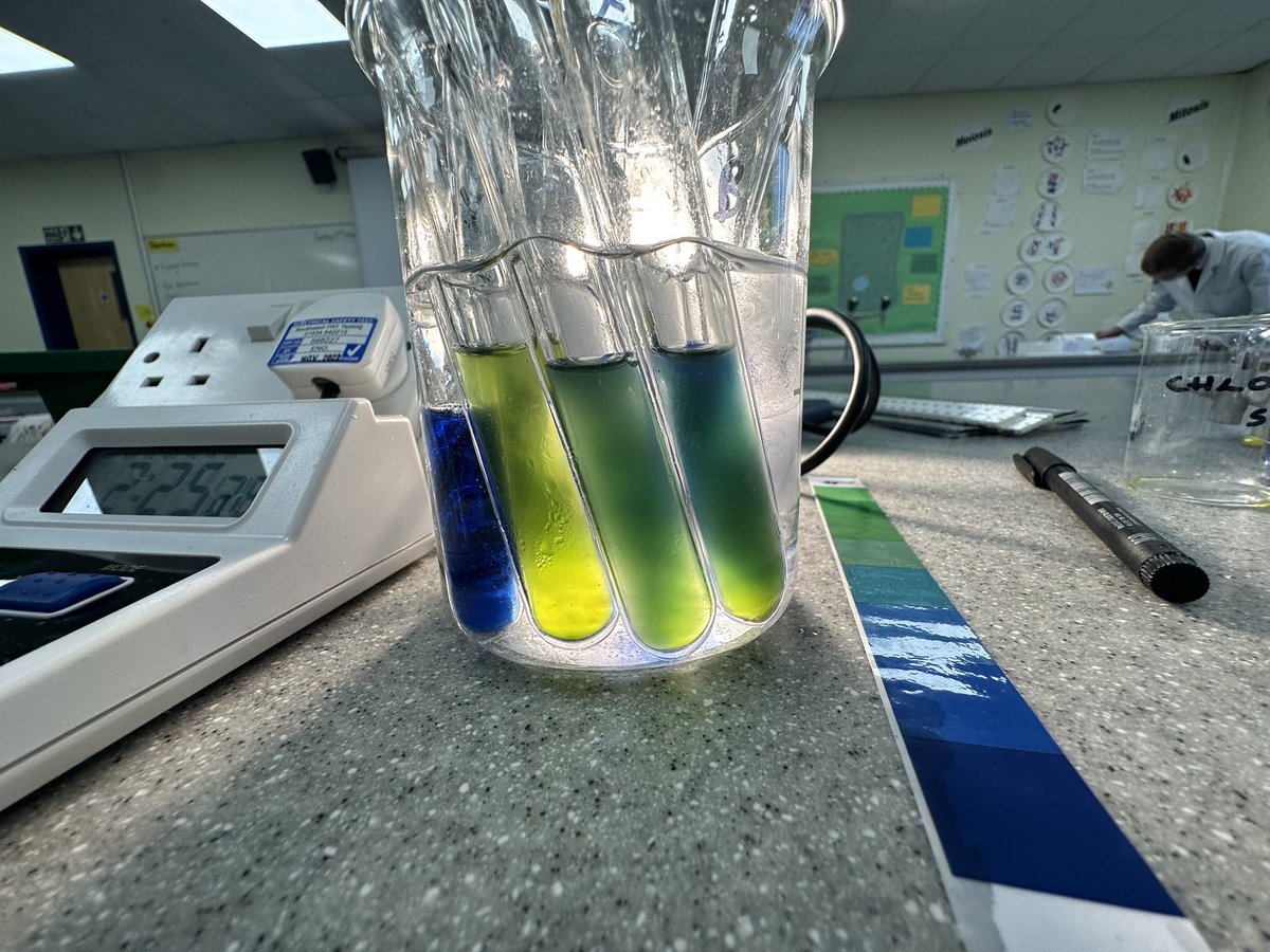 Science Department (@ksbscience) on Twitter photo Colourful Required Practical for #KSBSixthForm #KSBBiology pupils. Effect of ammonium hydroxide on photosynthesis <a href="/KingsBruton/">King's Bruton</a> #KSBSuccess Colourful Required Practical for #KSBSixthForm #KSBBiology pupils. Effect of ammonium hydroxide on photosynthesis <a href="/KingsBruton/">King's Bruton</a> #KSBSuccess