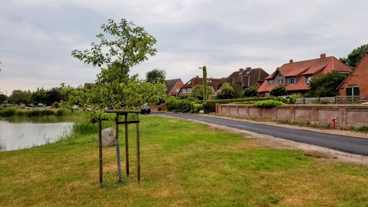 Impressionen von Fehmarn... 
 #Fehmarn #Ostsee #Insel #Ferien #Urlaub #ostseeliebe #küstenliebe #balticsea #meerliebe #schleswigholstein #strand #meerweh #ostseeurlaub #reiselust #ostseekult 
natuerlichfehmarn.de