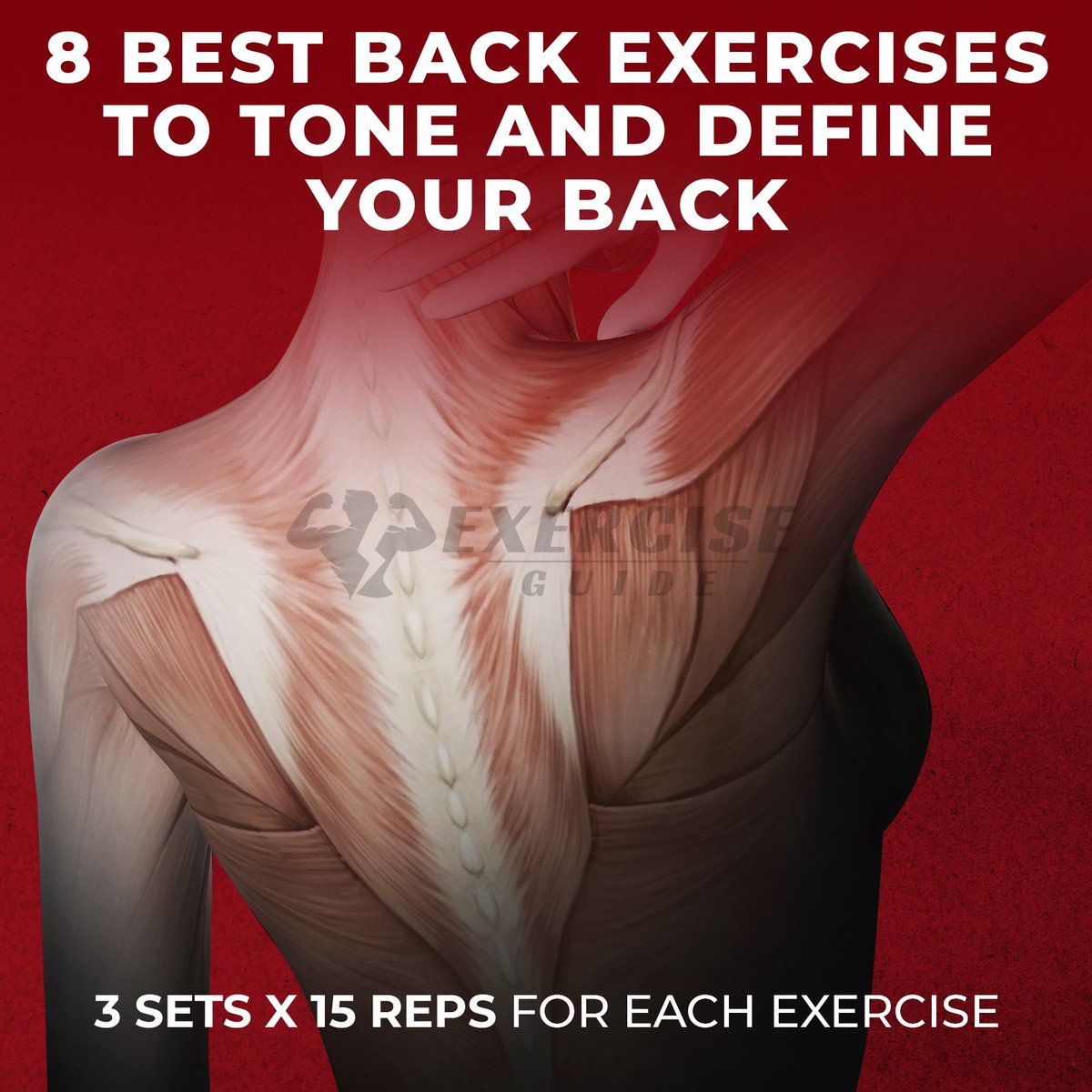 GuideExercise's tweet photo. Top best exercises to tone and define your back 👇👇👇
#workout #back https://t.co/wWu612tgpa