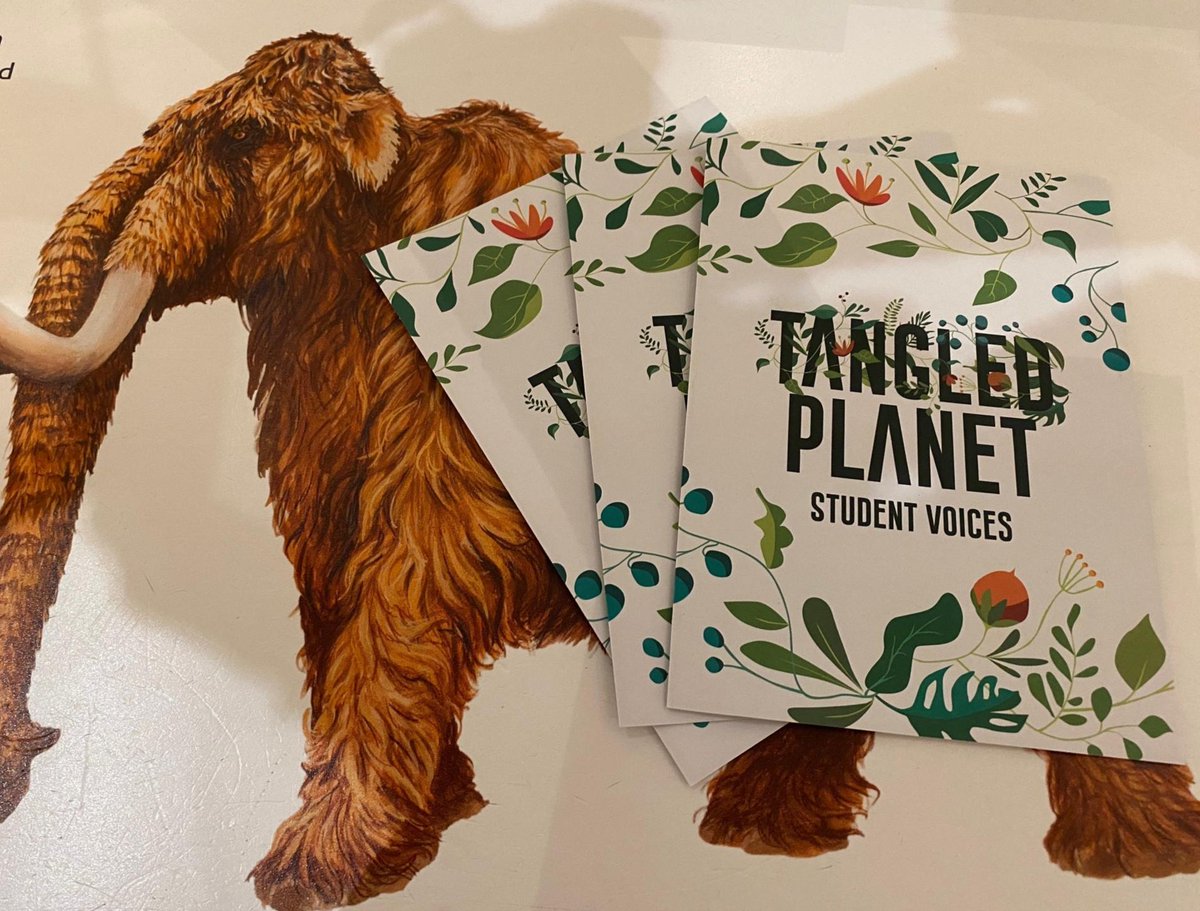 NOW OPEN! Our 'Tangled Planet' exhibition co-curated by Yr 12 students explores 19 specimens, giving a fascinating insight into the relationships between humans & the natural world. Pick up your FREE trail leaflet. ow.ly/Hb4n50PUI9t @ClareCollege @CamUnivMuseums