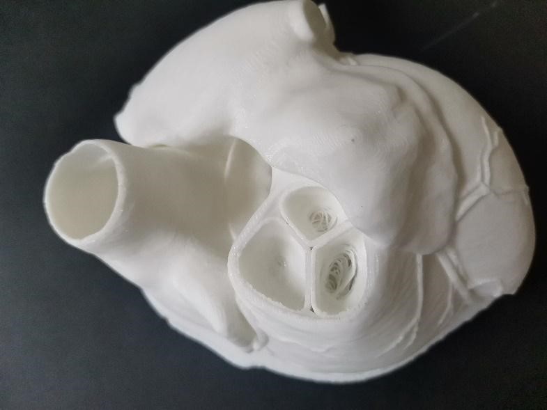 leonard_shapiro's tweet photo. CHAPTER 8💥The Use of Biomedical Imaging in Visuospatial Teaching of Anatomy by 🇿🇦 S. Pillay-Addinall, N. Japhta &amp; S. Govender In Biomedical Visualization Vol 2 Series Editor @medicalvis Editor @leonard_shapiro @TheNeuroNetwork @SpringerNature @SMU_SA  https://t.co/YgGQOID8qy https://t.co/Ad2kVR4XdZ
