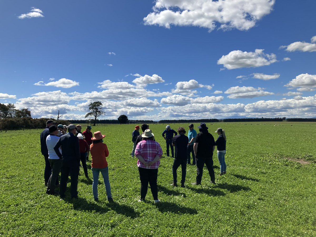 Thanks a heap to Rob Bradley for showing us around his beautiful and diverse Longford property in Tassie - Day 2 of the SCF study tour and another glorious day! #GRDCStudyTour #SWgoesSE