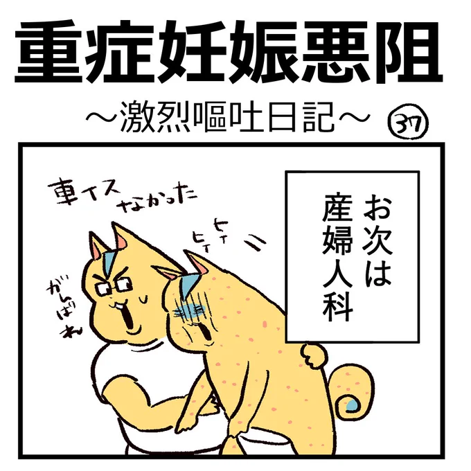 重症妊娠悪阻日記【第37話】

看護師さんが優しいと心強いったらない🥲✨

#漫画が読めるハッシュタグ #つわり #日記 #重症妊娠悪阻 #漫画がよめるハッシュタグ #もしゃ悪阻日記 