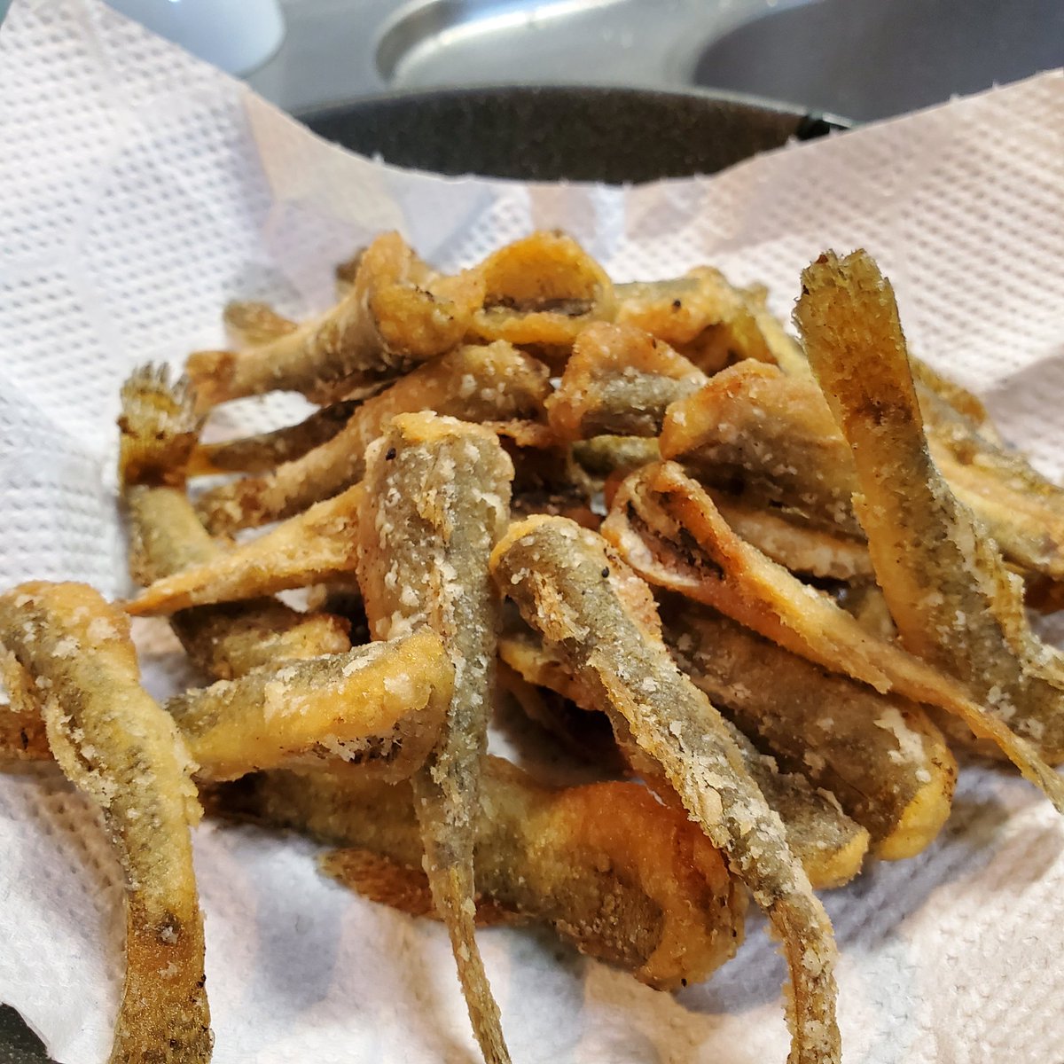 今日は父と初めてハゼ釣りしてきました！
親切な方に釣り方まで教えていただいた上にお土産までもらって唐揚げパーティーしてます！
いただいたの含めて84匹！
出不精気味になってた父が楽しそうでよかった！