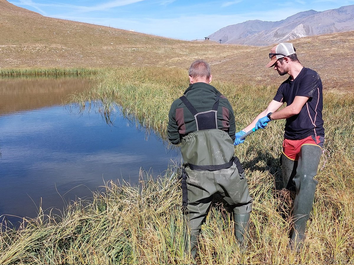 BGerfand's tweet photo. Last friday, I had the chance to attend a pilot day for a project led by the @CieDesAlpes in @valdisere 🏔️ We trained on the field to collect environmental DNA with @SPYGEN_Lab technology 🧬 Thanks for the invitation to this great day in this wonderful "office"
©️Frédéric Granger https://t.co/fpKTIpBzcX