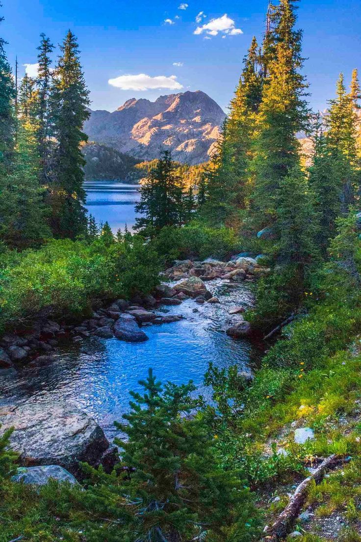Aleksan52094351's tweet photo. Beautiful 💚💙 https://t.co/MojeG9iXpT