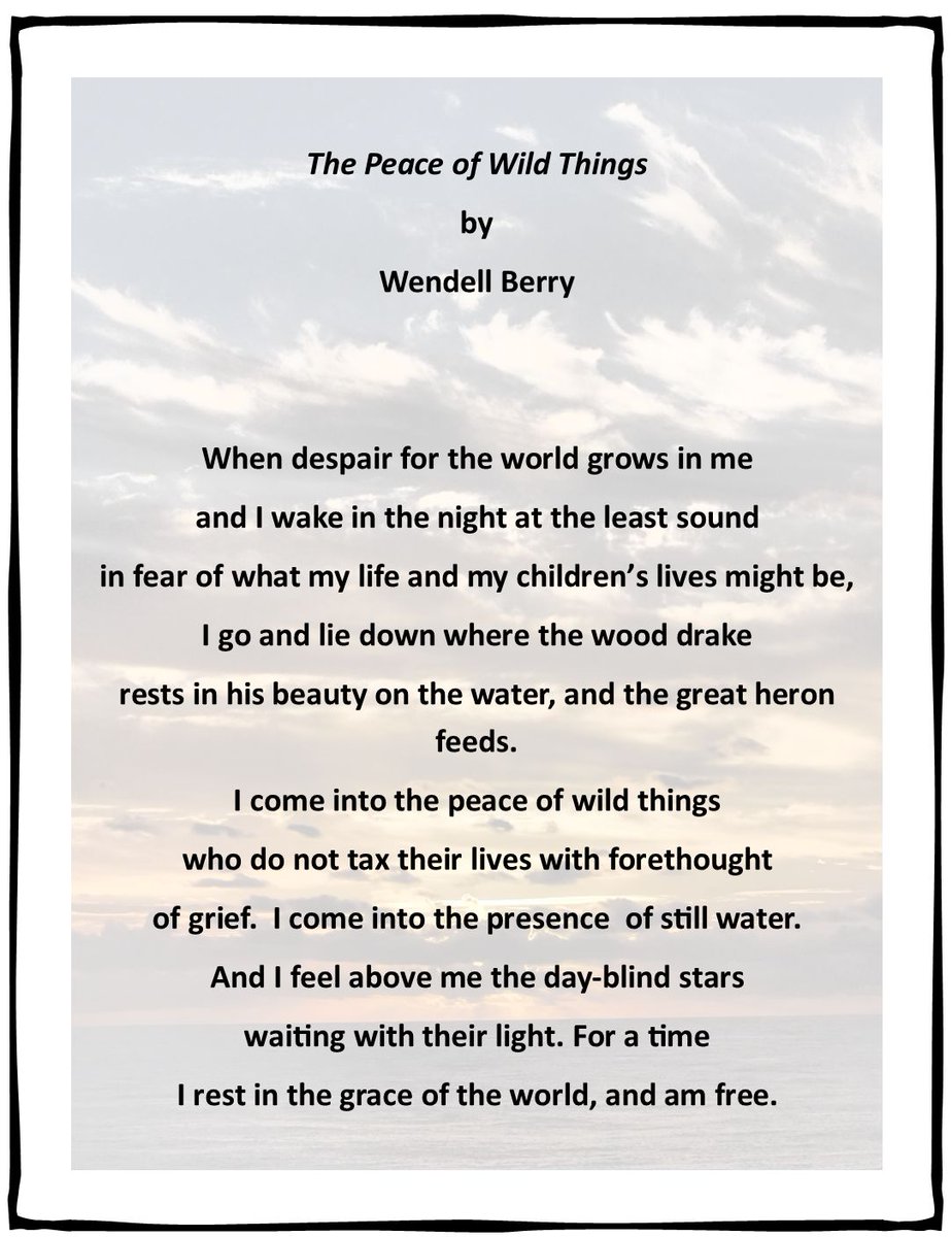 It's #WorldMentalHealthDay. We hope you find some quiet and peaceful time to yourself to look after your own.
who.int/campaigns/worl…