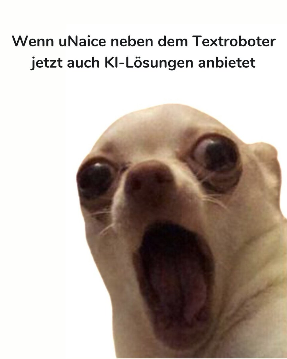 unaice_de's tweet photo. Happy #Welthundetag, die beste Ausrede, um erneut ein Hunde-Meme zu posten🐶💕 #HundeLiebe #BesteFreunde #Welthundetag #Meme https://t.co/xcZUa2cMHi