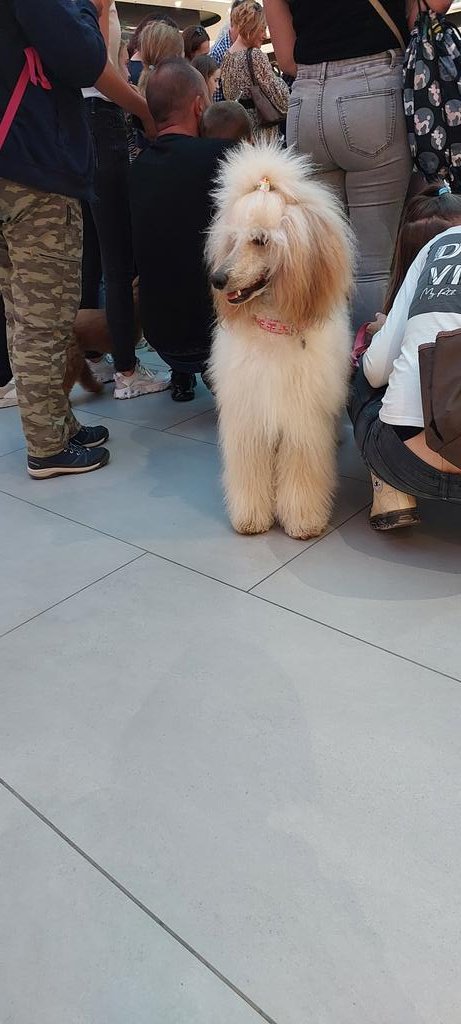 💙🐙Dori_Casper🐌💚 (@casdee_ghosty) on Twitter photo 