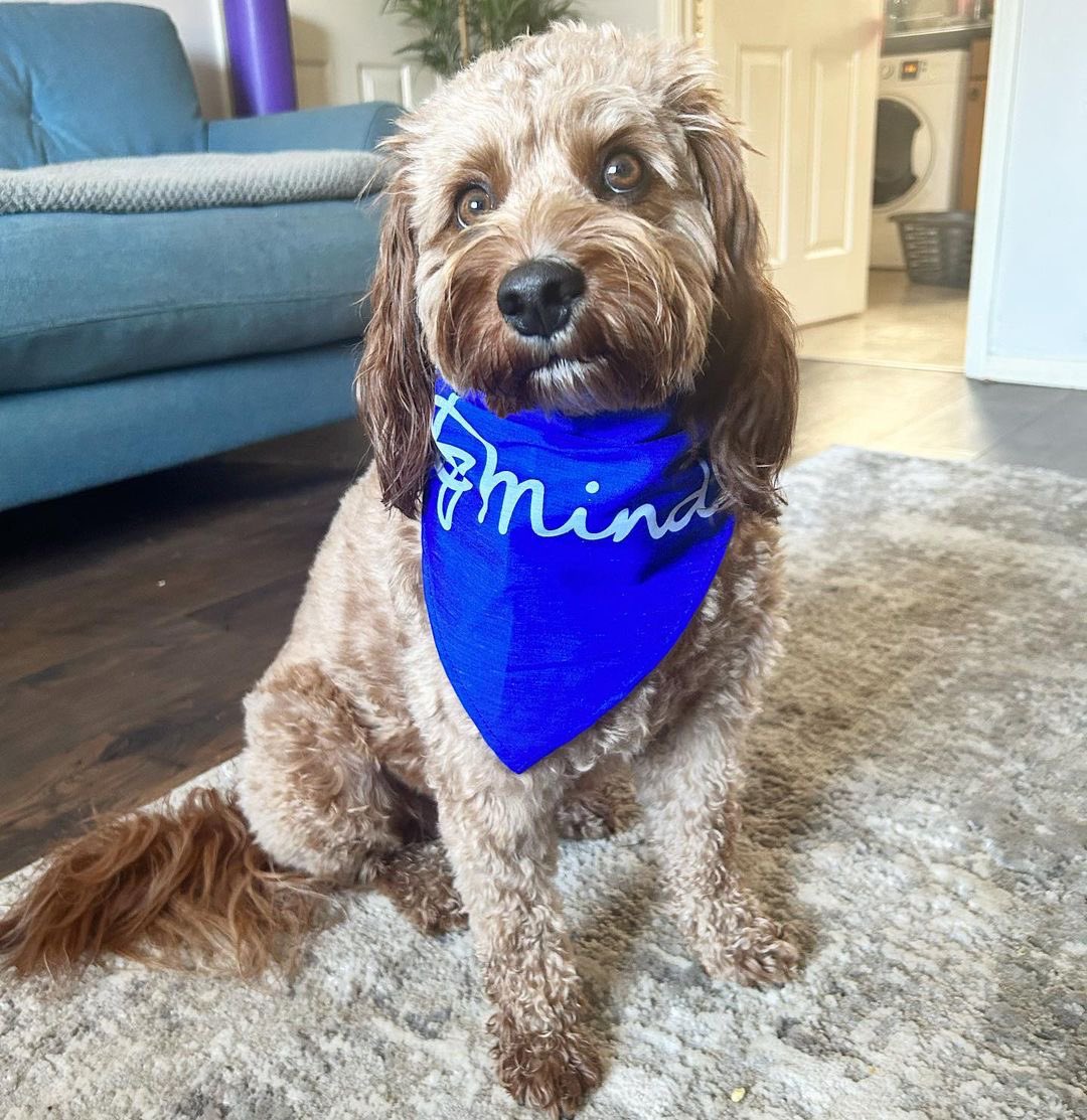 folk_features's tweet photo. Did you know that it’s #DoBlue day for #WorldMentalHealthDay? Find out what @NorfolkMind is doing - what you can do, too:
https://t.co/plEoK4JeSu
#WorldMentalHealthDay2023 https://t.co/CH09dJvxRg