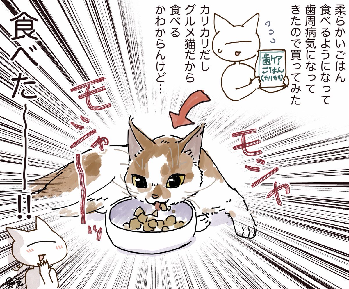 続・猫ごはん実況
かわいいかよ～～～～～ 