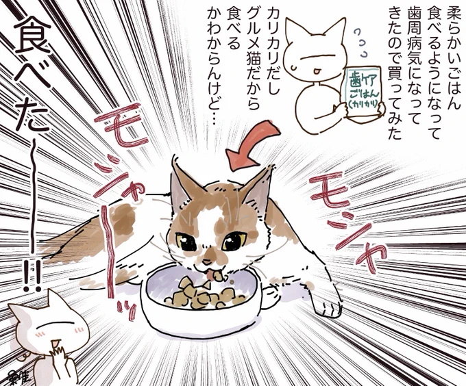 続・猫ごはん実況
かわいいかよ～～～～～ 