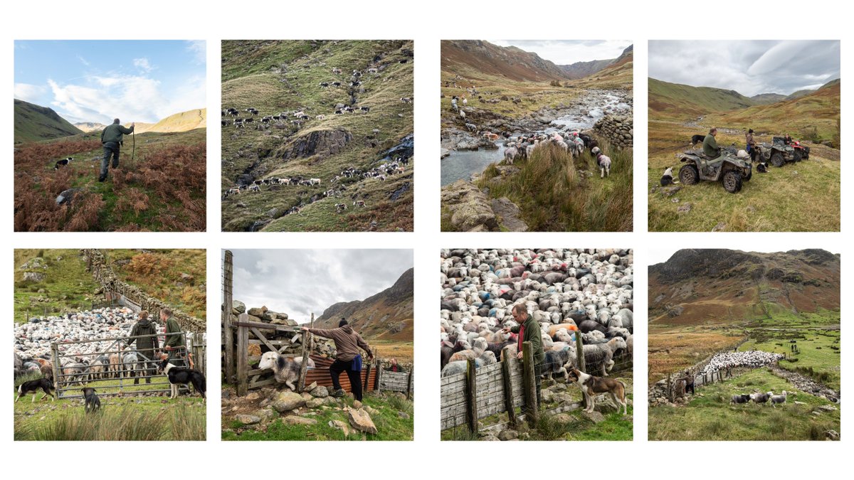 butnorain's tweet image. Tomorrow night we will be talking about our 2 yr work on the Our Upland Commons project, together with others who are discussing the importance of these special, but poorly understood places. 

Free but you do need to book.
foundationforcommonland.org.uk/events/telling…

@4CommonLand @HeritageFundUK