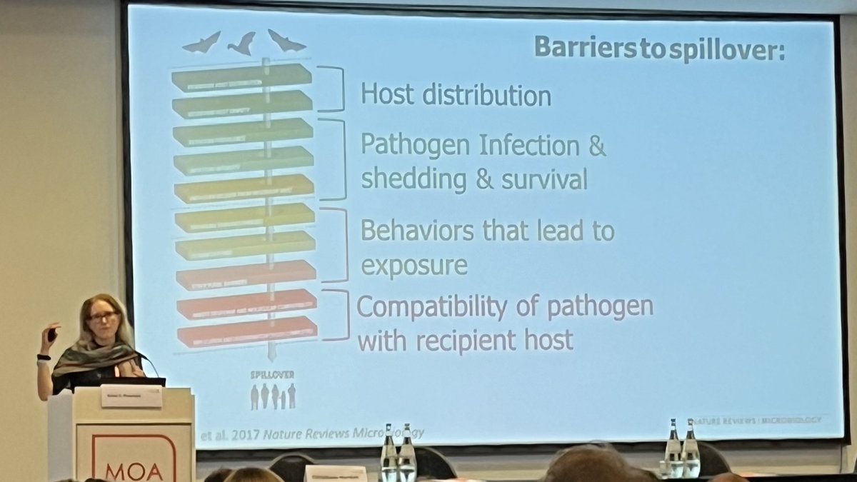 When fruit bats face winter food shortages they may seek food in urban areas, increasing human contact.🦇 ❄️

@rainamontana’s research on the ecology of bats and viruses in Australia shows how environmental changes can lead to more viral spillover and new epidemics. #Zoonoses23