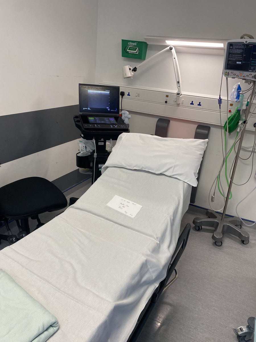 Amr Hassan tweet media