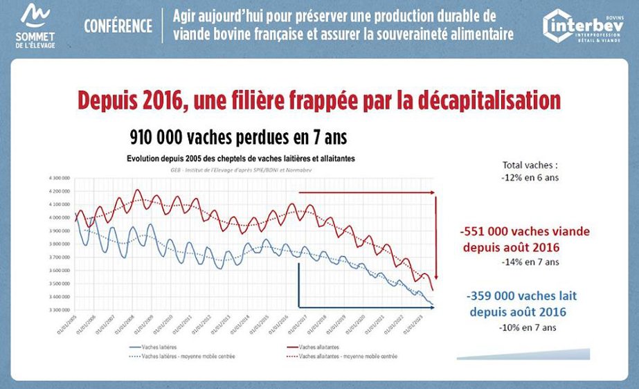Benoît Rouillé tweet media