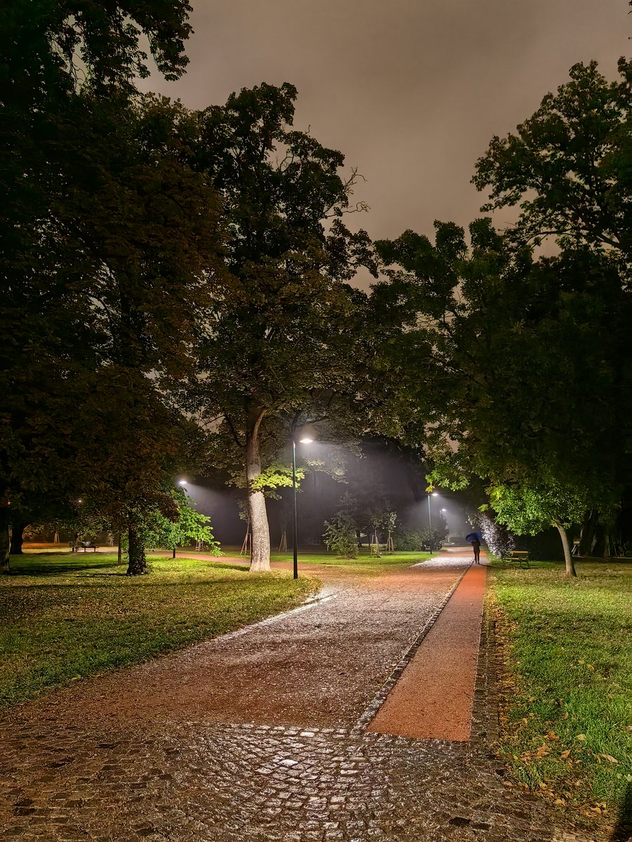 juleska's tweet photo. Lužánky ☔

#inpark https://t.co/c4p92fFslL