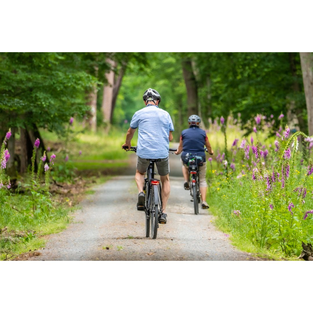 CABINET >> The final phase of a new cycling and walking route connecting #Ponteland with #Callerton is getting underway this month. Members agreed to accept a further £500k of <a href="/transport_north/">Transport North East</a> funding to complete the scheme.