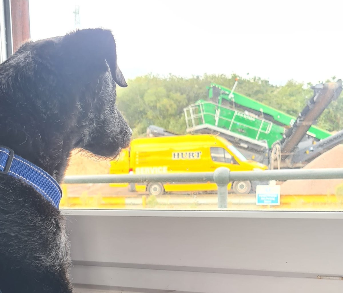 foxbrosgroup's tweet photo. 🚨 𝙏𝙝𝙞𝙨 𝙬𝙚𝙚𝙠𝙨 𝙨𝙩𝙤𝙘𝙠 𝙖𝙩 𝙉𝙚𝙬𝙩𝙤𝙣 𝙍𝙤𝙖𝙙 🚨

6F2
MOT
20mm
10mm
Dust
Fill Sand
Plainings
40MM Clean
80MM Clean

To order your aggregates, contact us today 📞 https://t.co/7414Vj14Fb