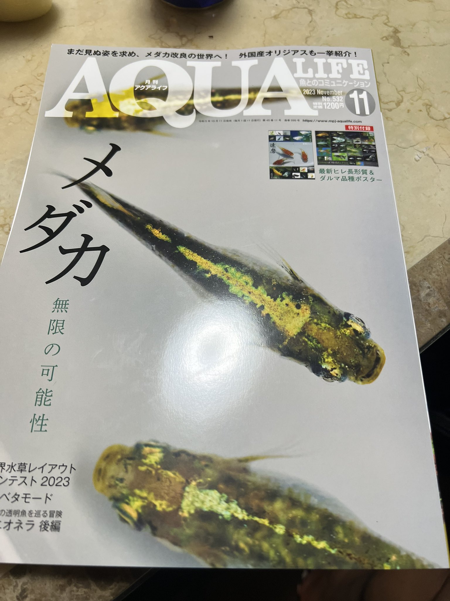 アクアライフ　まとめ売り cover-al23-05-209x300.jpg
