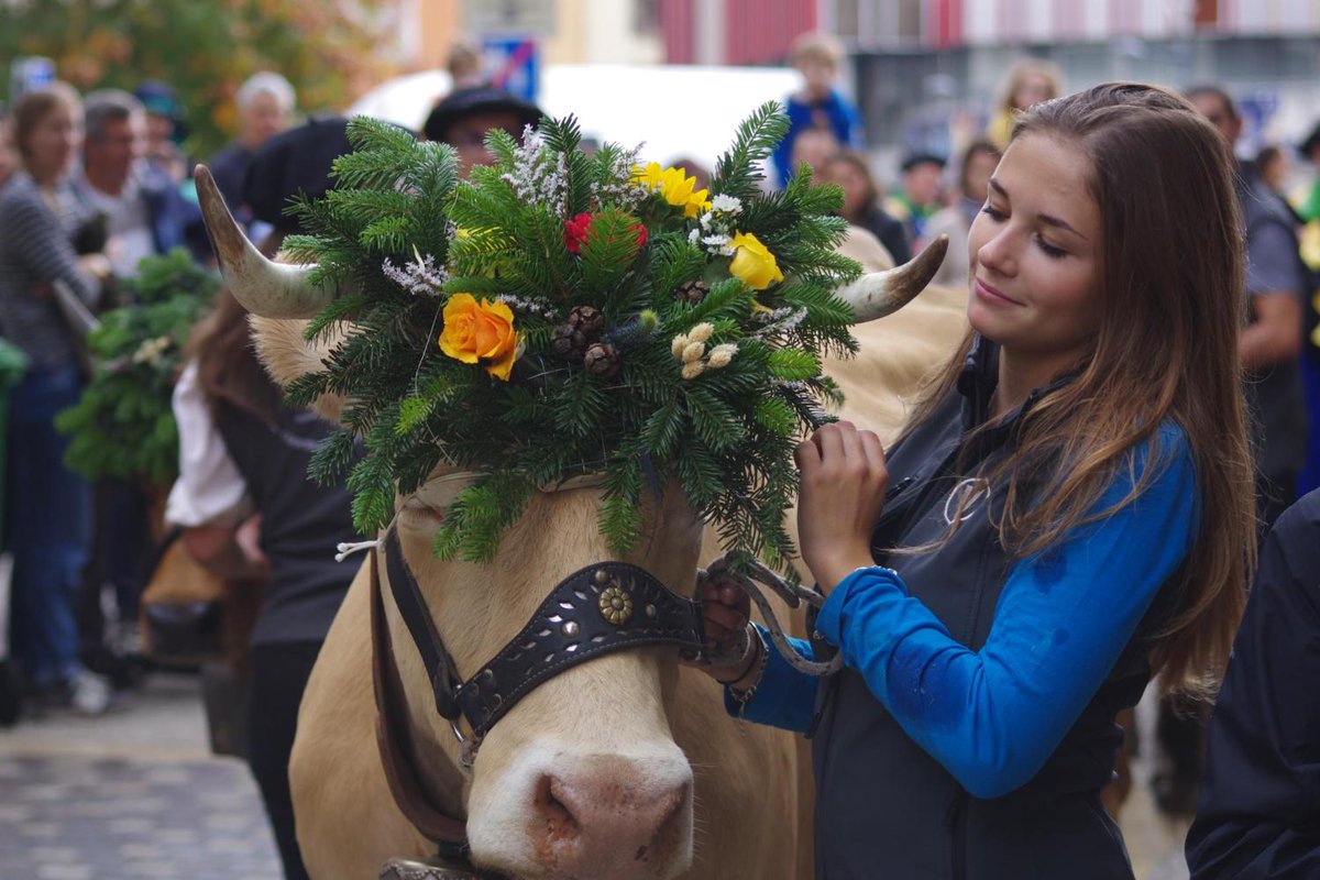 La descente des #alpages, c'est l'événement à ne pas rater ce week-end à #Grenoble. Découvrez le programme ➡️ urlz.fr/nXrY

📸 Photo Albane Pommereau