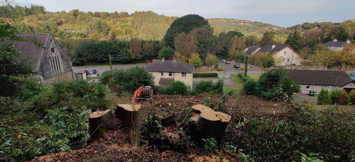 Lismulcahy's tweet photo. Beautiful mature Trees being felled along a huge stretch in the woods behind Avoca parish house and church. Is this legal?? Coillte - Please investigate before many more are taken down. https://t.co/r0YARXZaec