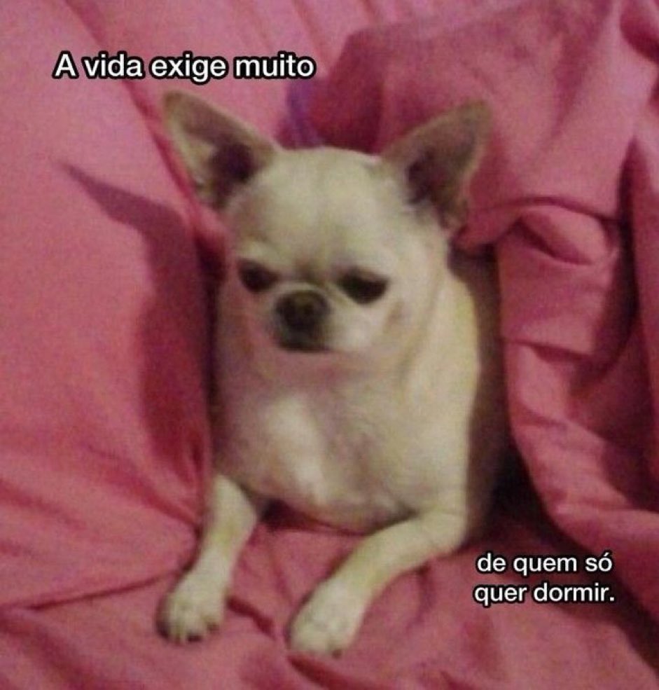 Trouxinha (@euovitinn) on Twitter photo 