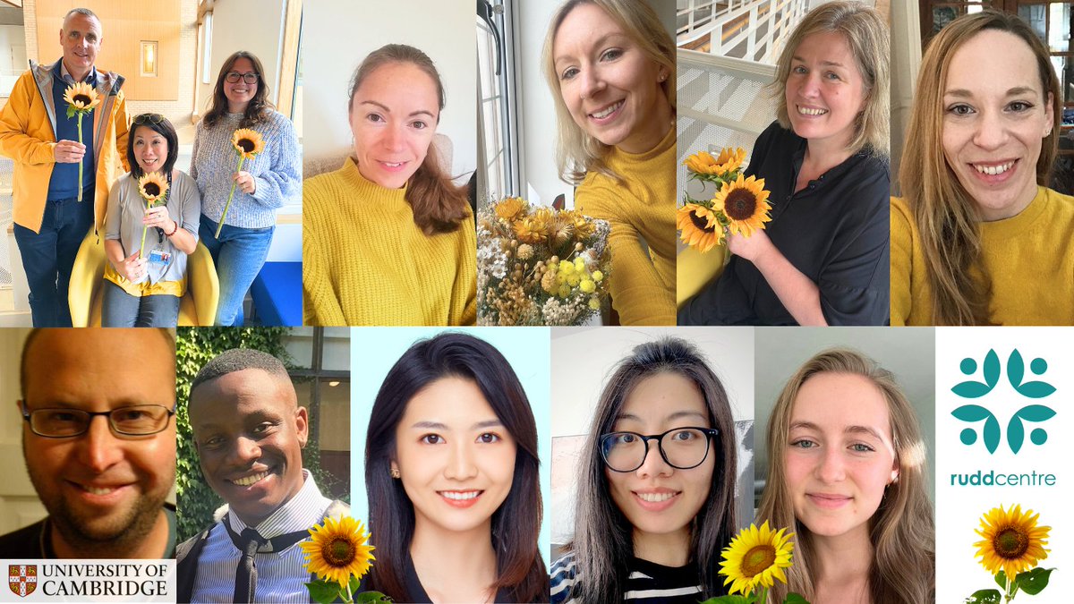 We are supporting @YoungMindsUK's amazing #HelloYellow campaign. 🤩 Look out for our team Q&A's which shine a light on the work we do at the Rudd Centre to promote the wellbeing & mental health of young people & their families today and everyday! 💡 #WorldMentalHealthDay