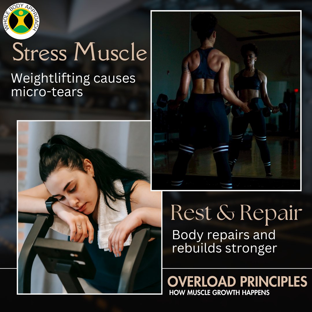 WBA2k10's tweet image. Unlocking Muscle Growth!

Weightlifting breaks down muscle fibres, triggering tiny tears. During rest, your body works magic, repairing and reinforcing those fibres, strengthening you.

Embrace the overload principle for epic gains! 💥

#MuscleGrowth #OverloadPrinciple